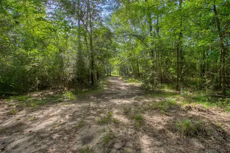 Tbd Dahlia Road Huntsville TX 77320