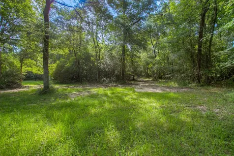 Tbd Dahlia Road Huntsville TX 77320