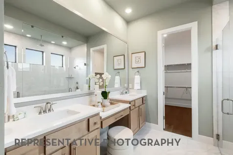 18122 Sunlit Oasis Drive Webster TX 77598