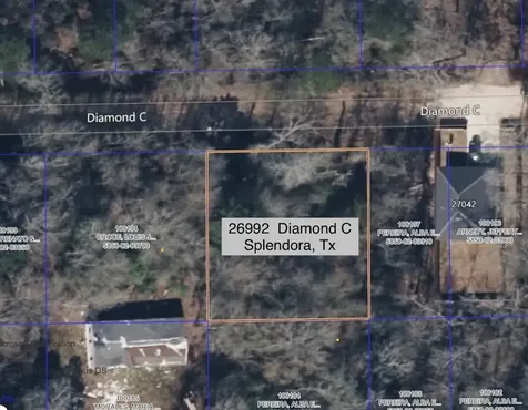 26992 Diamond C Montgomery TX 77372