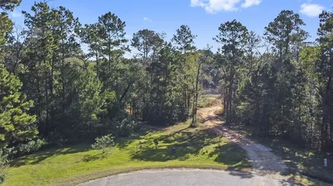 7015 Woodlake Trail Montgomery TX 77316