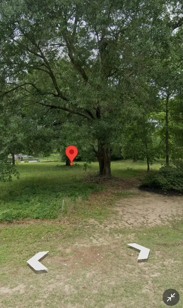 13521 J B K Memorial Drive Willis TX 77318