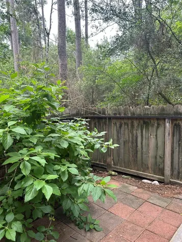 7 Newberry Trail Court The Woodlands TX 77382