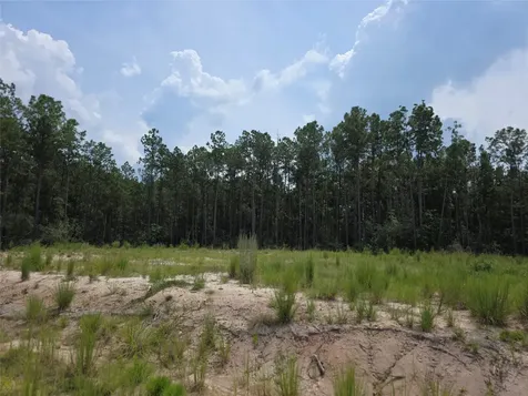 135 Rayburn Reserve Drive Jasper TX 75931