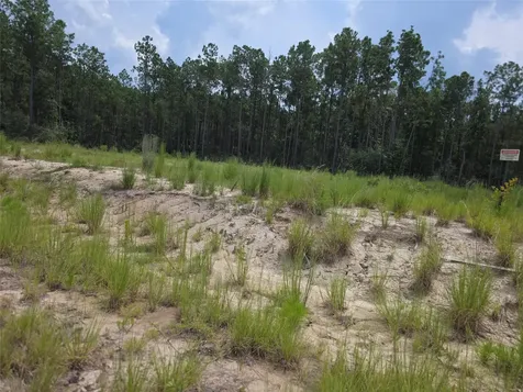 135 Rayburn Reserve Drive Jasper TX 75931