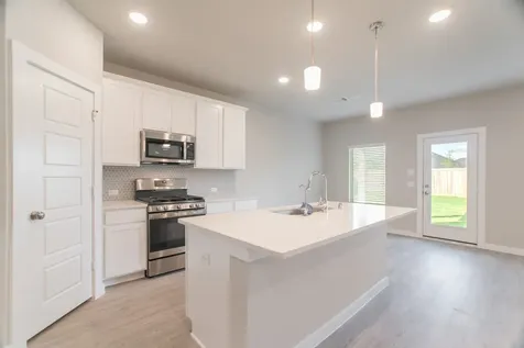 21710 Prickly Caterpillar Court Cypress TX 77433