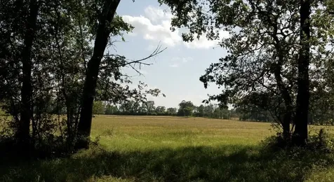 1533 Kickapoo Road Groveton TX 75845