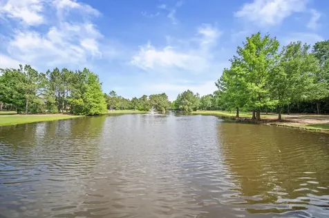 241 W Tupelo Green Circle Spring TX 77389