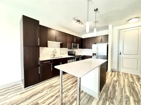 3788 Richmond St Avenue 1143 Houston TX 77046