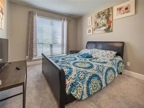 3703 Canyon Drive Iowa Colony TX 77583