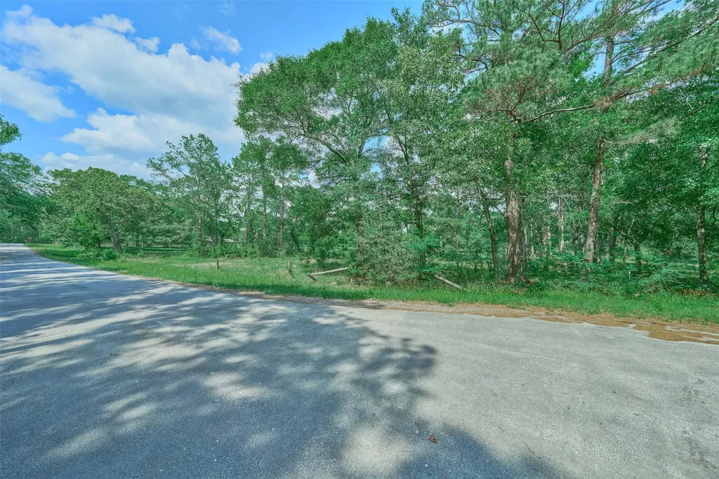 27592 S Log Cabin Road Montgomery TX 77356