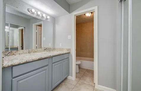 10555 Turtlewood Court 2802 Houston TX 77072