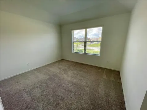 17202 Coppice Oak Drive Hockley TX 77447