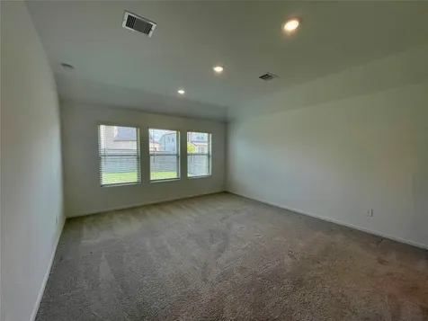 17202 Coppice Oak Drive Hockley TX 77447