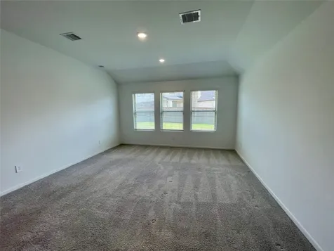 17202 Coppice Oak Drive Hockley TX 77447