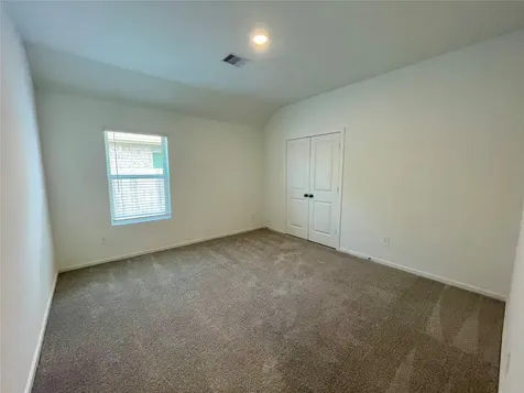 17202 Coppice Oak Drive Hockley TX 77447