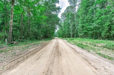 51 N Winter Creek Cleveland TX 77328