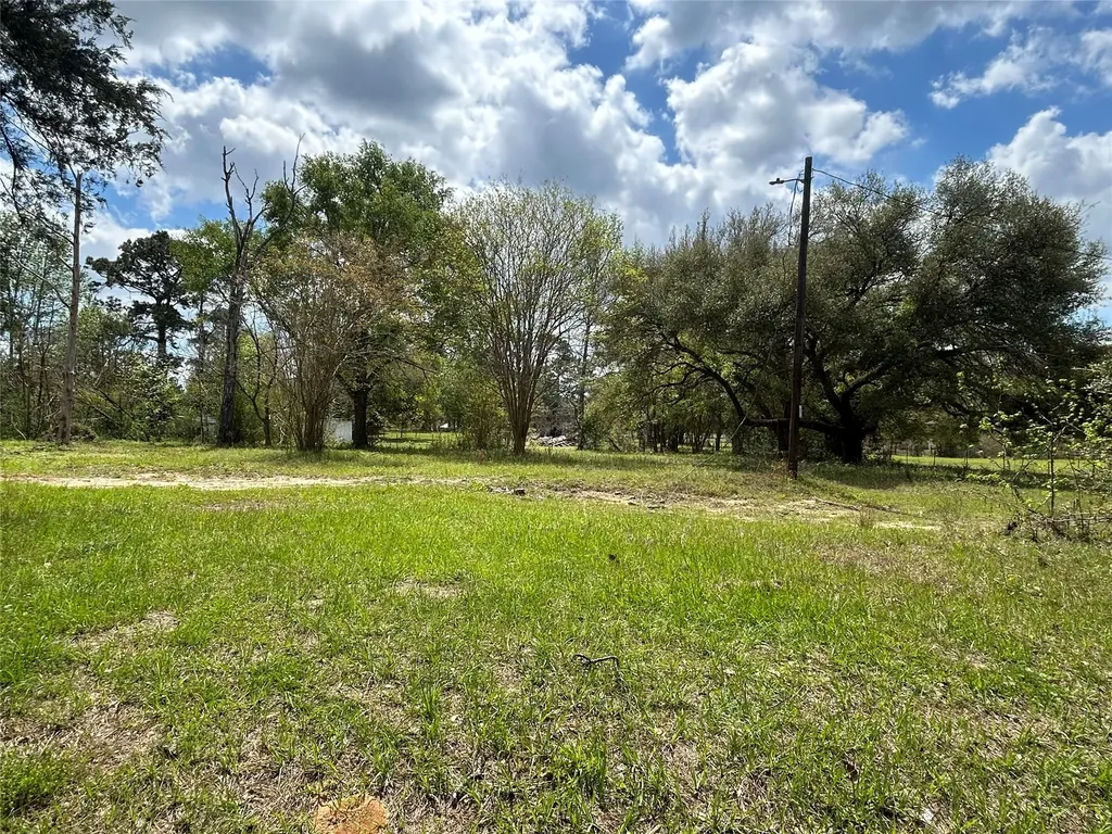 80 Tidwell Lane Cleveland TX 77328