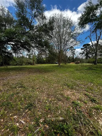 80 Tidwell Lane Cleveland TX 77328