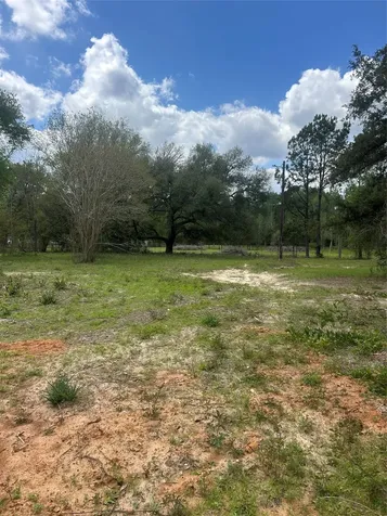 80 Tidwell Lane Cleveland TX 77328