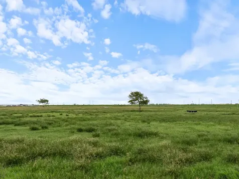 11301 S Fm 441 Road Louise TX 77455