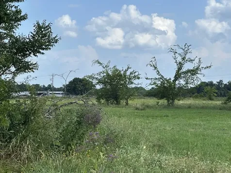 0 Lot 55 Red Fox Circle Lone Oak TX 75453