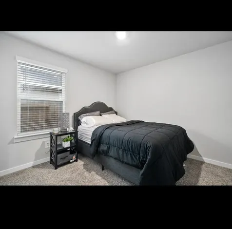 12817 Tokenhouse Lane Houston TX 77047