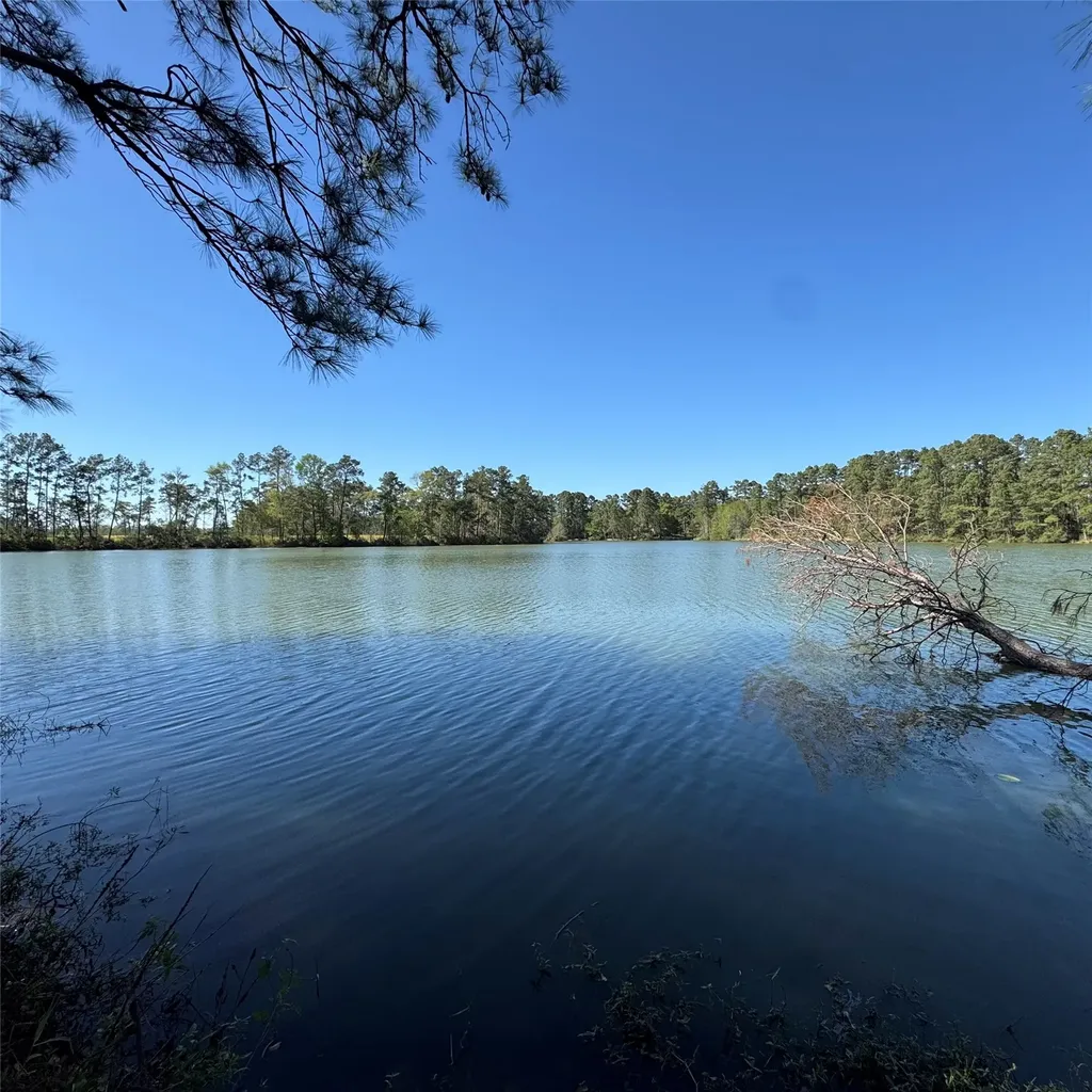 6273 Alder Creek Drive Montgomery TX 77316