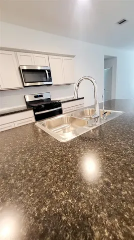 23835 Sunland Park Court Houston TX 77373