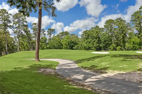 11 Twin Greens Court Houston TX 77339