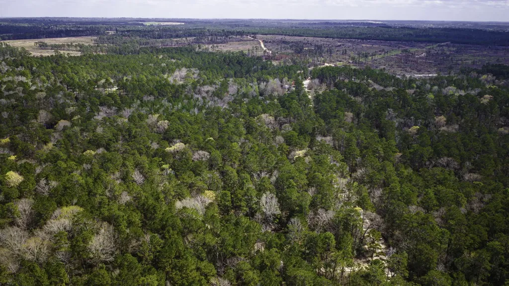 Tbd Tract 5 Triple Creek Loop Livingston TX 77351