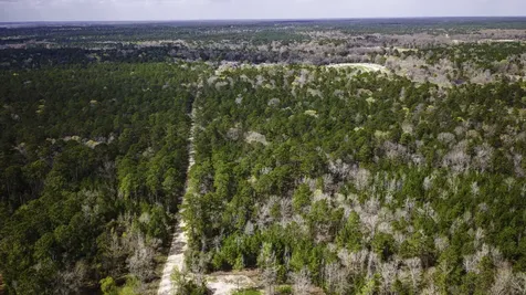 Tbd Tract 5 Triple Creek Loop Livingston TX 77351