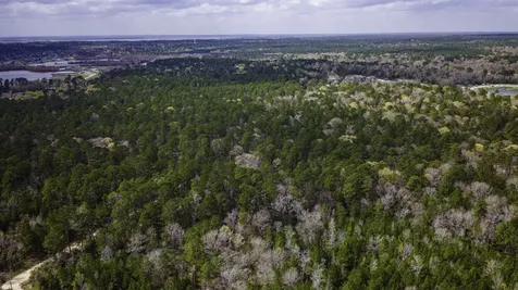 Tbd Tract 5 Triple Creek Loop Livingston TX 77351