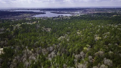 Tbd Tract 5 Triple Creek Loop Livingston TX 77351