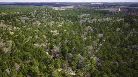 Tbd Tract 5 Triple Creek Loop Livingston TX 77351