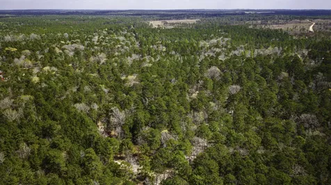 Tbd Tract 5 Triple Creek Loop Livingston TX 77351