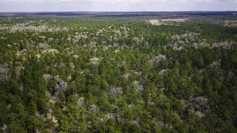 Tbd Tract 5 Triple Creek Loop Livingston TX 77351