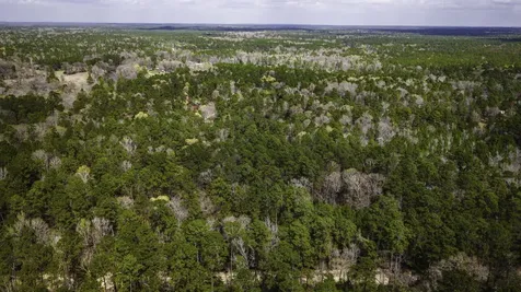 Tbd Tract 5 Triple Creek Loop Livingston TX 77351