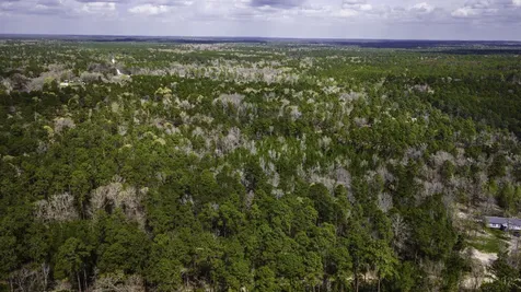 Tbd Tract 5 Triple Creek Loop Livingston TX 77351