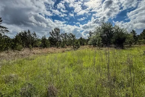 20.49 Acres State Highway 19 Huntsville TX 77320