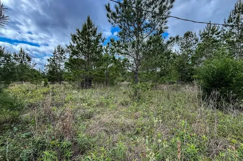 20.49 Acres State Highway 19 Huntsville TX 77320