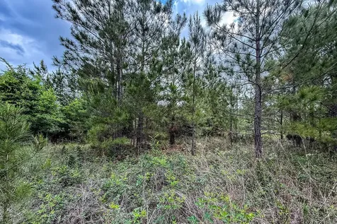 20.49 Acres State Highway 19 Huntsville TX 77320