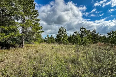20.49 Acres State Highway 19 Huntsville TX 77320