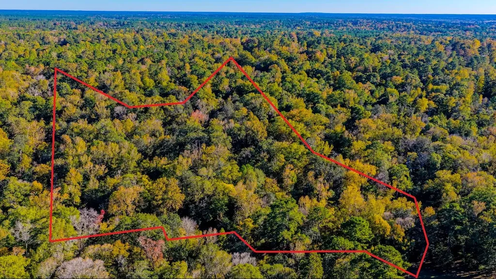 Tbd Rolling Ridge Road Goodrich TX 77335