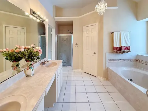 16611 Colony Terrace Drive Sugar Land TX 77479