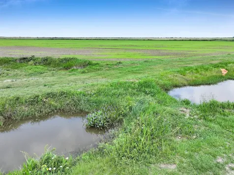 Tbd Needmore Road Beaumont TX 77705