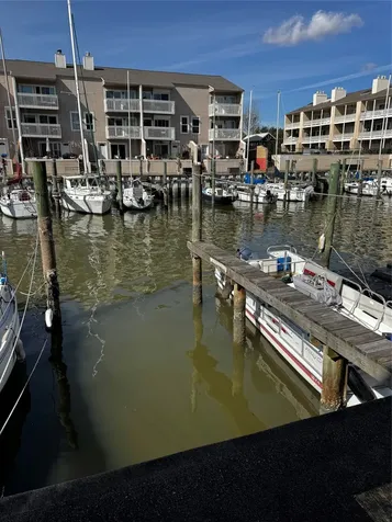 0 Mariner Berth Seabrook TX 77586