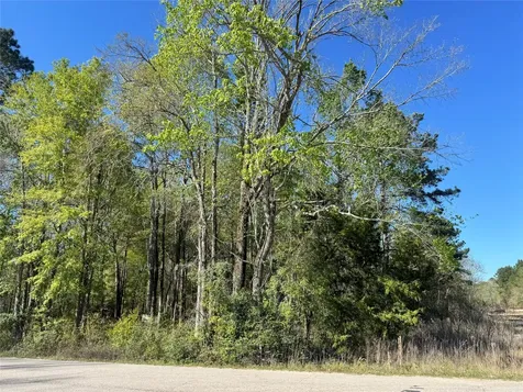 Tbd Railroad Avenue Shepherd TX 77371