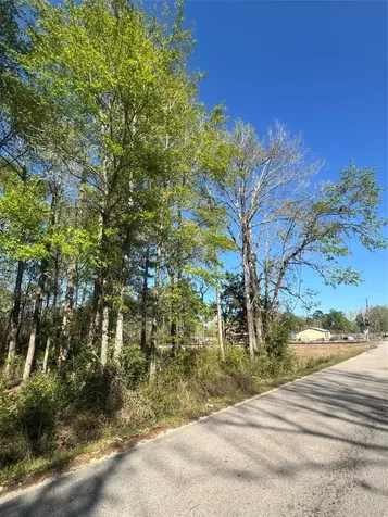 Tbd Railroad Avenue Shepherd TX 77371
