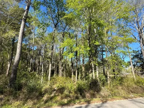 Tbd Railroad Avenue Shepherd TX 77371
